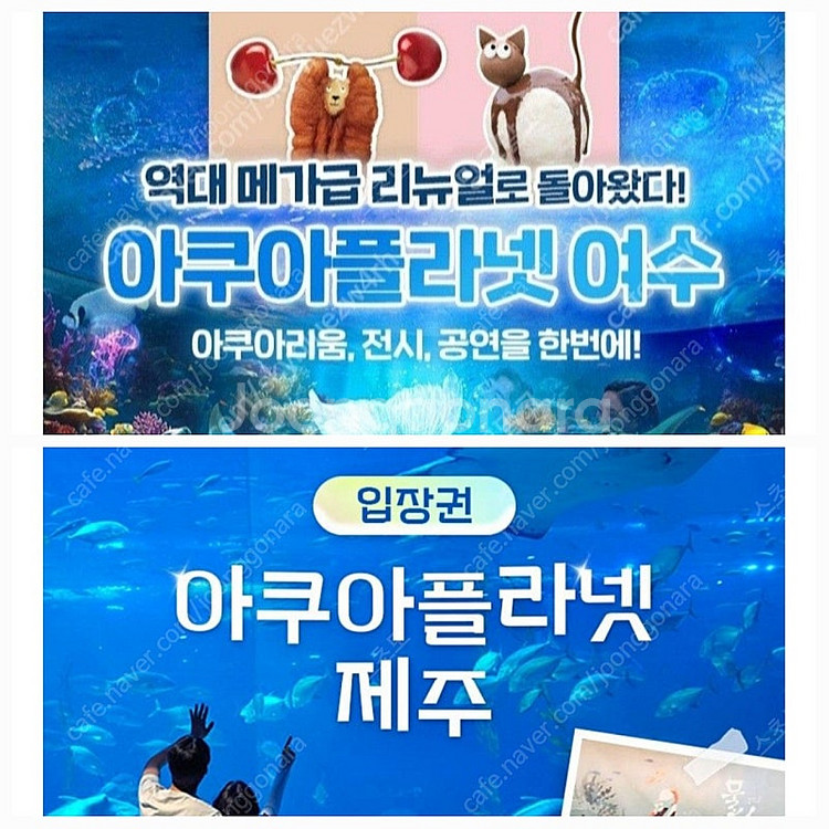 칼답) 여수 제주 아쿠아플라넷 제주 여수 모바일입장권--0