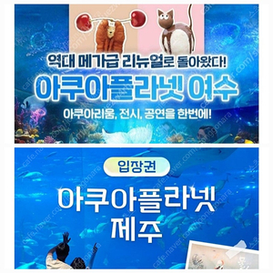 칼답) 여수 제주 아쿠아플라넷 제주 여수 모바일입장권