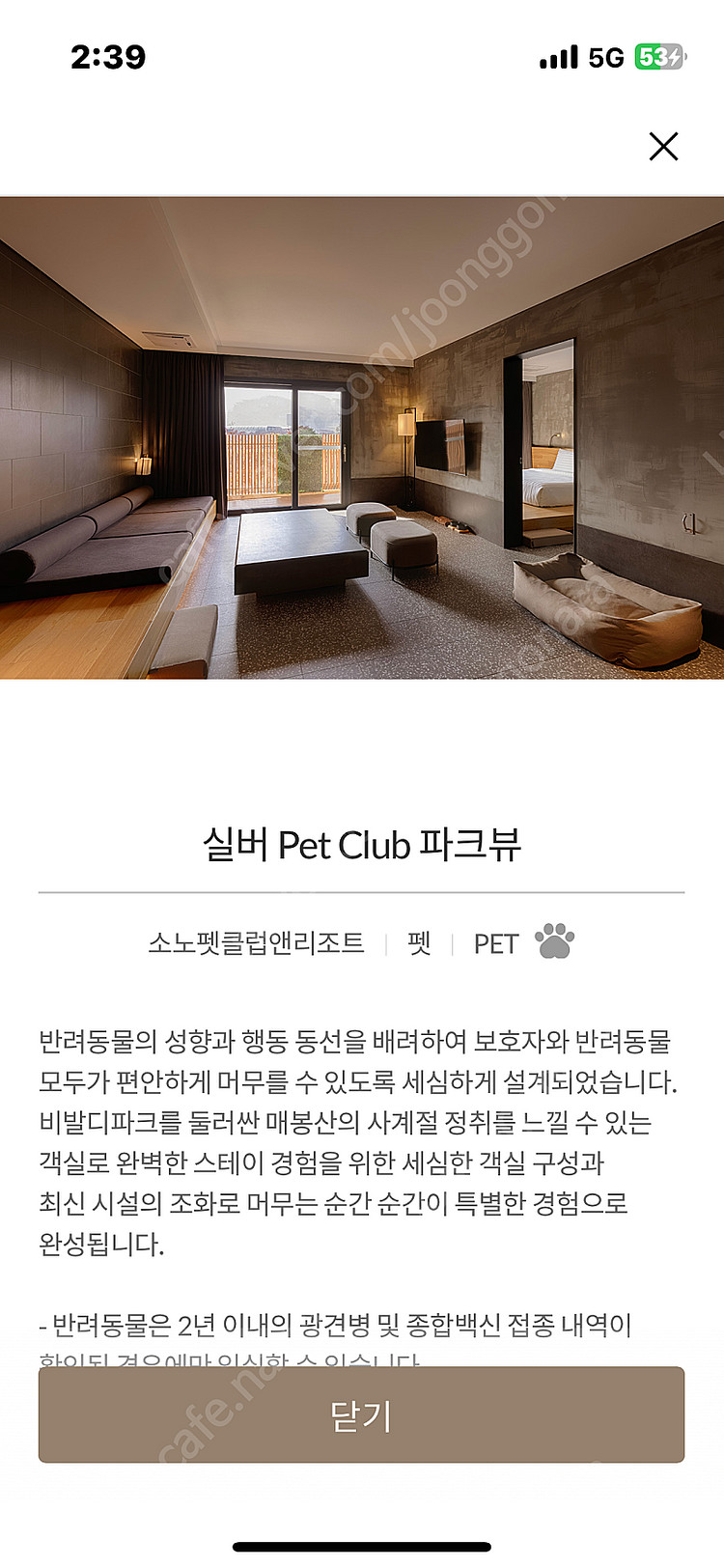 (특가)대명소노 비발디파크 8월13일~15일까지2박양도...--0