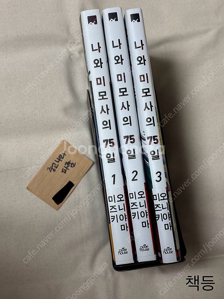 싫어하는 네가 좋아 작가 올초판 나와 미모사의 75일 ...--3
