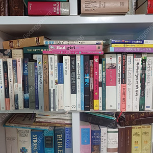 문학/인문/사회/경제/롤모델시리즈/송명희 찬송시집