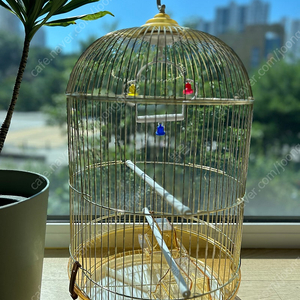골드 새장 새것