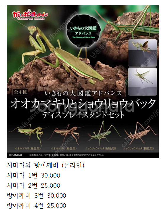 반다이 생물대도감 팝니다.--0