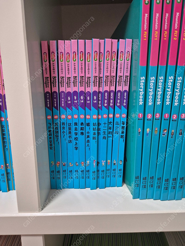 도요새 중국어 레인보우드래곤--1