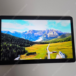 Lenovo Tab P11 TB-J606F + 정품 펜