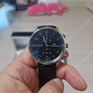 iwc 포르투기저