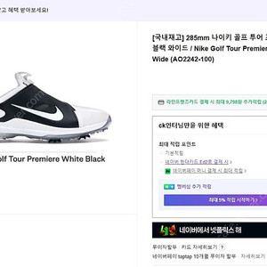나이키 프리미엄 골프화 250