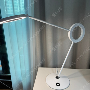 라문 아물레또 네츄럴 화이트 오리지널 새상품