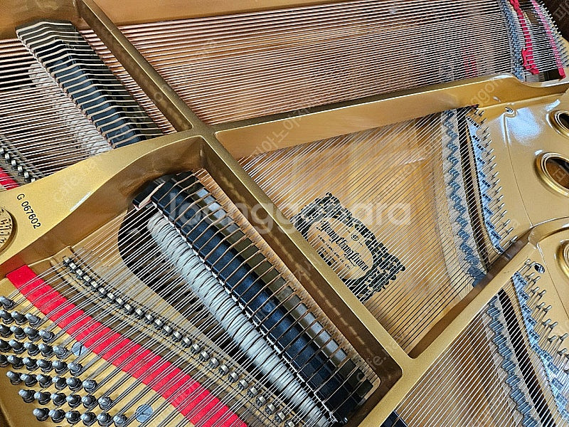 작은사이즈 영창그랜드피아노 G-175BP 350>>>3...--4
