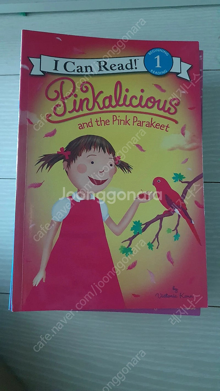 pinkalicious I SPY MR PUTTER &TABBY MIA HENRY AND MUDGE ANNIE AN...--0