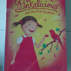 pinkalicious I SPY MR PUTTER &TABBY MIA HENRY AND MUDGE ANNIE AND SNOWBALL SPLAT THE CAT 레인보우매직