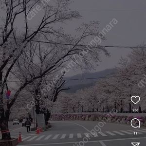 ottocast ai box i3 삽니다