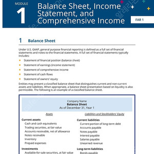 베커 배커 Becker aicpa cpa 책 pdf