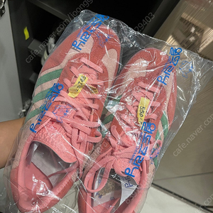 아디다스 가젤 인도어 핑크그린 240