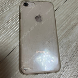 아이폰 6S, 아이폰 8