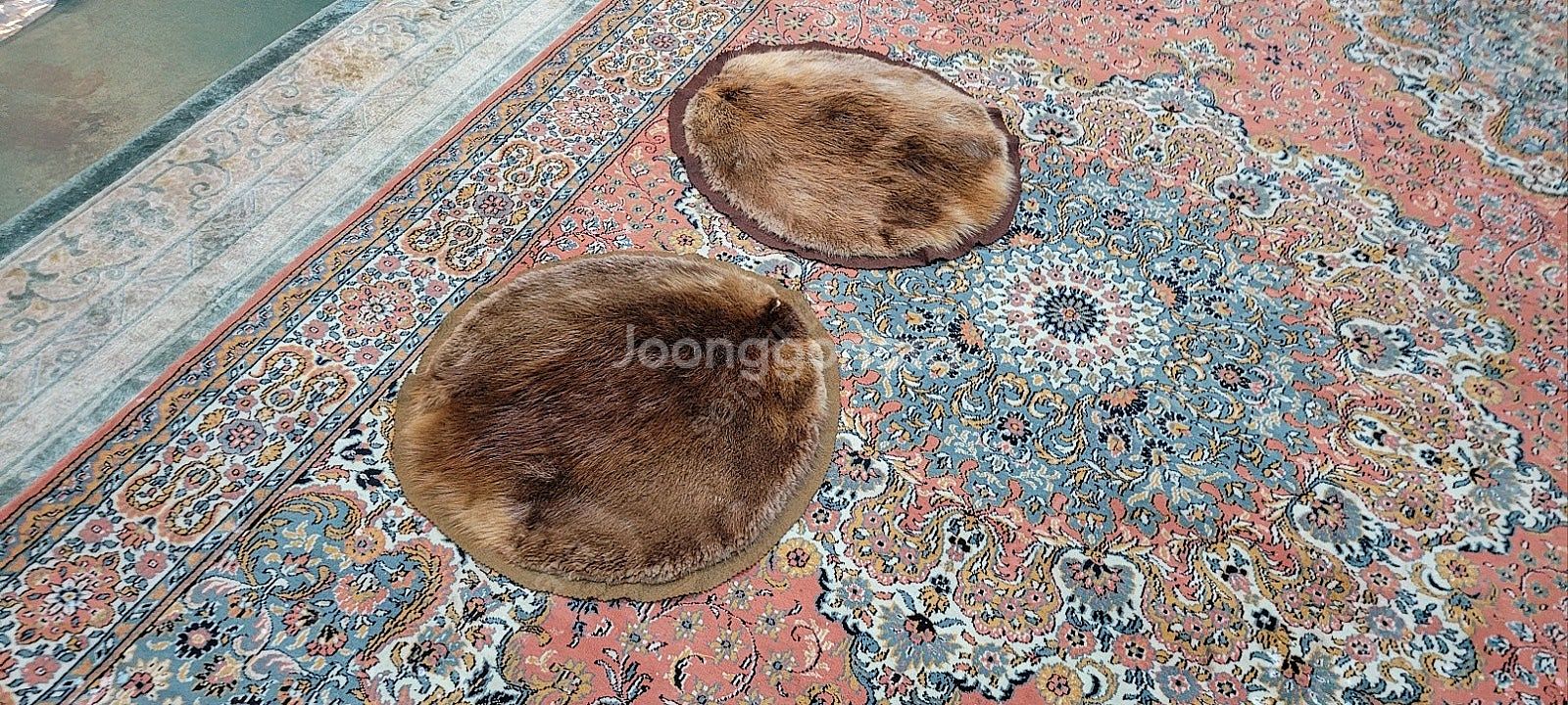<<판매>> 독일 천연 (폭스)여우털 대형 얇은 러그 ...--8