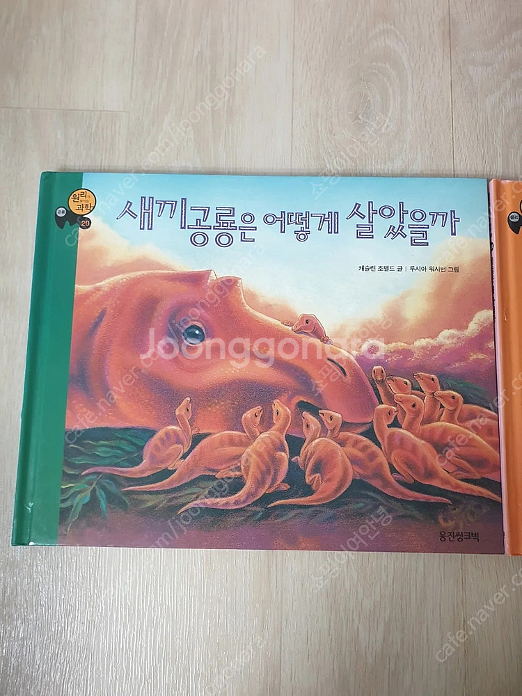 웅진 원리가 보이는 과학(87권) 팝니다--3