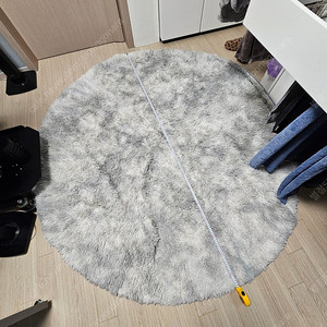 원형 러그 카펫 200cm