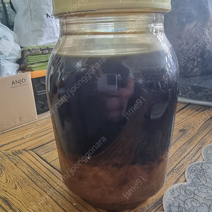 석청꿀 2.4L 15만원에 판매