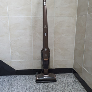 ELECTROLUX 일렉트로룩스 무선 청소기