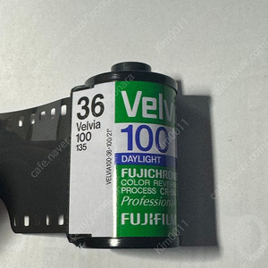 벨비아 100 135 36컷