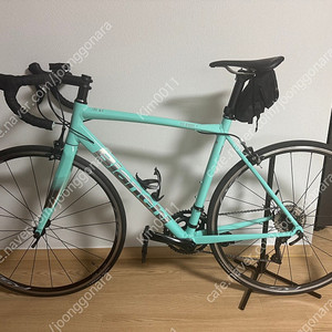 비앙키 니로네7 105 24년식 55사이즈