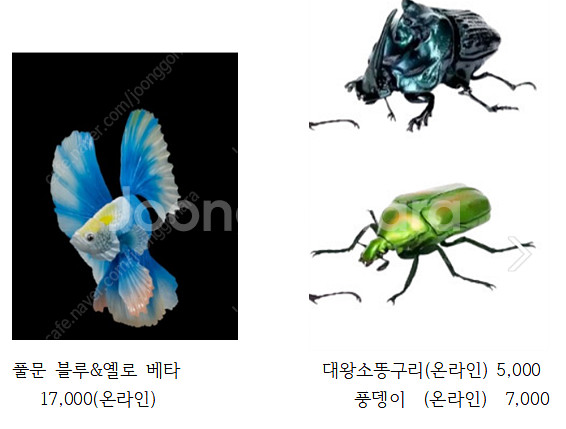 반다이 생물대도감 팝니다.--0