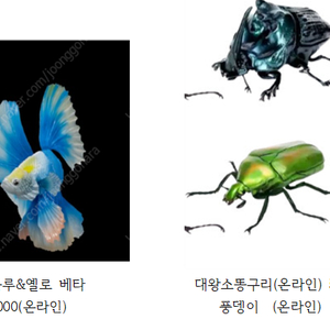 반다이 생물대도감 팝니다.