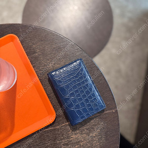 Louis Vuitton 루이비통 포켓오거나이저 (블루-엘리게이터)