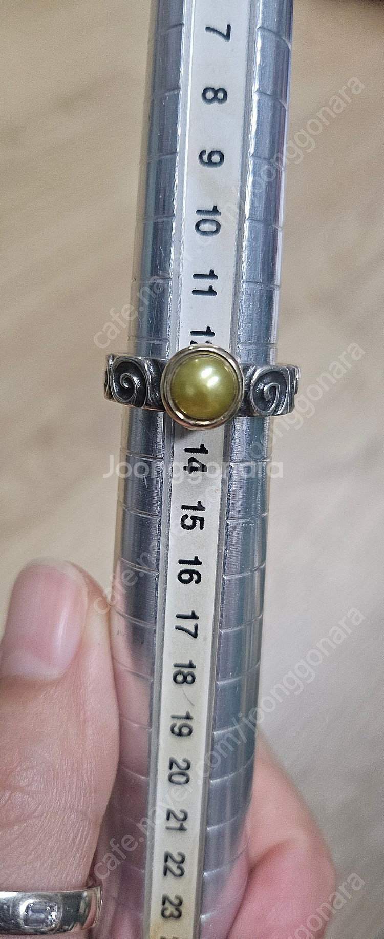 판도라 단종 진주 반지 세트--0