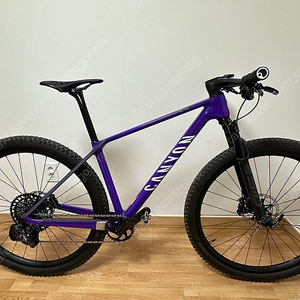 캐니언 MTB 익시드 CF SLX CLLCTV