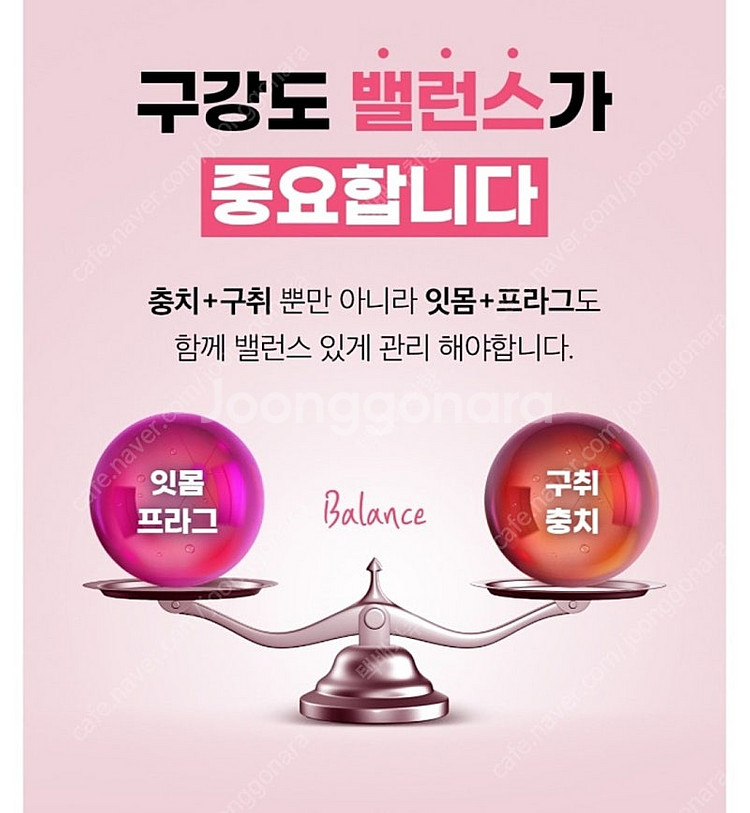 [택포]티스몬스터 대왕(왕타) 칫솔 /2080 콜라겐함...--8
