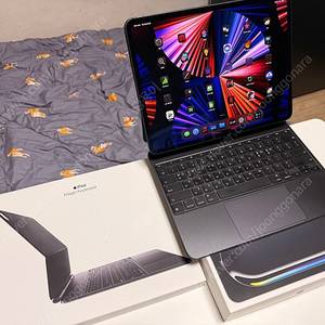 아이패드 프로 13인치 m4, 스페이스블랙, 256GB, 셀룰러 + 매직 키보드(블랙, 한글) + 애플케어 팝니다.