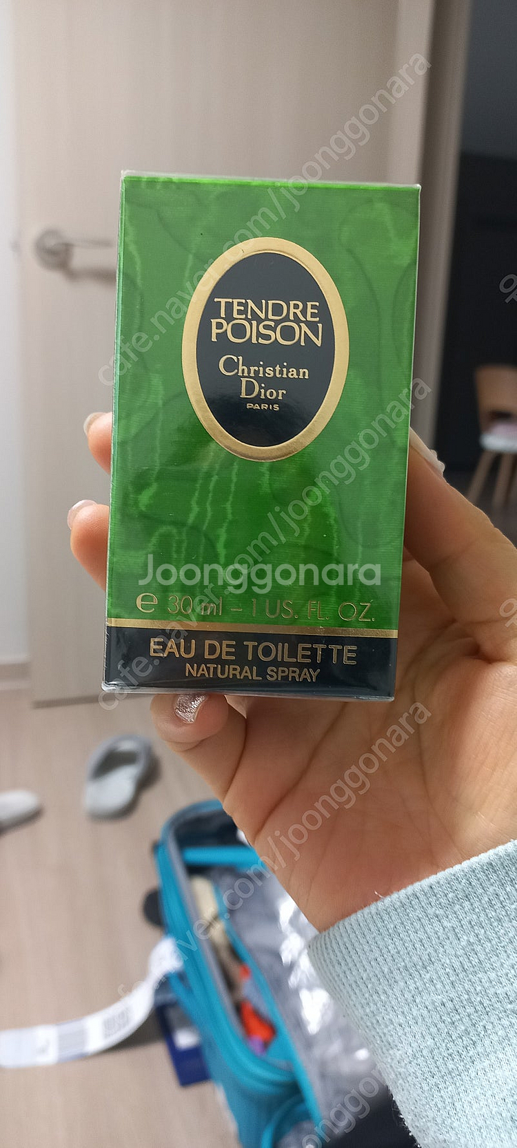 땅뜨르쁘아종/쁘아종 새거--3