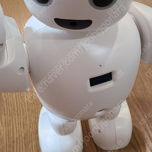 교육용 로봇 서큘러스 파이보 판매합니다