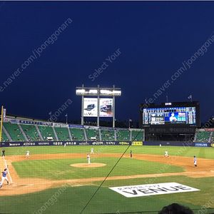8월 3일 잠실야구장 두산 SSG 1루 테이블석