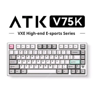 [미개봉] ATK V75K 실버 아냐축