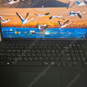 LG 그램 17인치 인텔 i7 13세대 16GB 1TB 윈도우11 터치스크린 17Z90R-H.AAC8U1