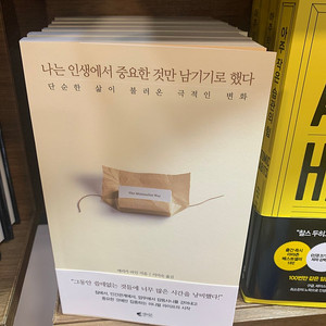 PVC 에어풀장 수영장 3x6 판매