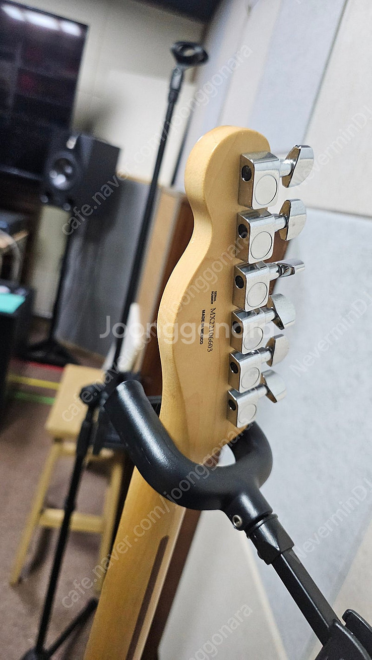 플레이어 텔레캐스터--0