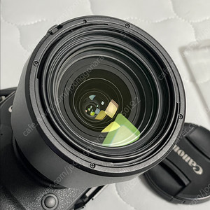캐논 24-70 f4 L