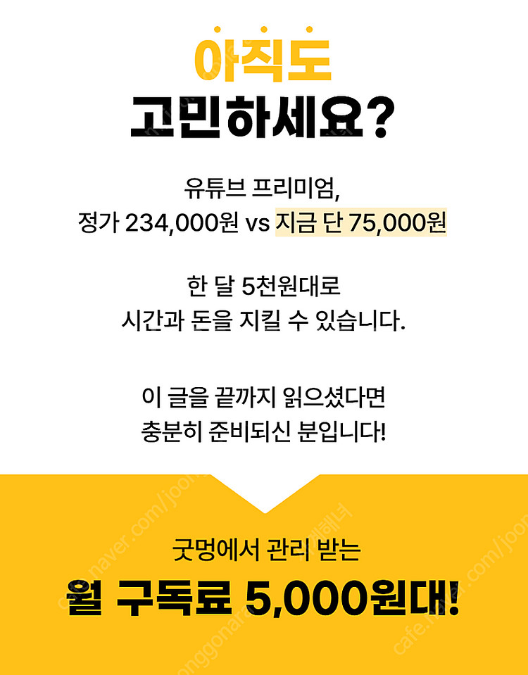 유튜브 프리미엄 가족 내돈내산 페루 인도네시아 vpn ...--4