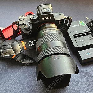 소니 100-400gm렌즈 외 몇 가지 팝니다