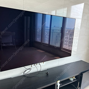 LG OLED 65인치 TV