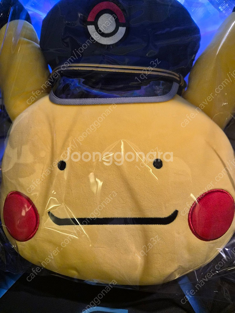 포켓몬스터 역장 피카츄--0