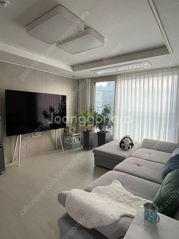 제임스오가닉 TV 거치대 XL (55~83인치, 사운드...--3