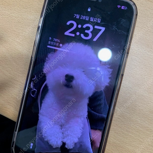 아이폰 12 프로맥스 pro max 256기가