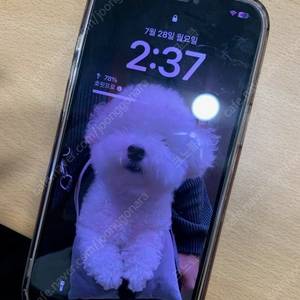 아이폰 12 프로맥스 pro max 256기가