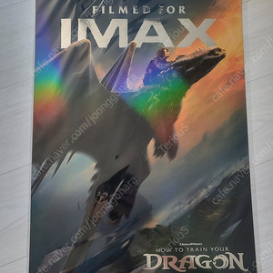 드래곤 길들이기 IMAX 포스터