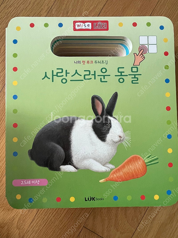 와이즈루크 두뇌조깅 8권--1